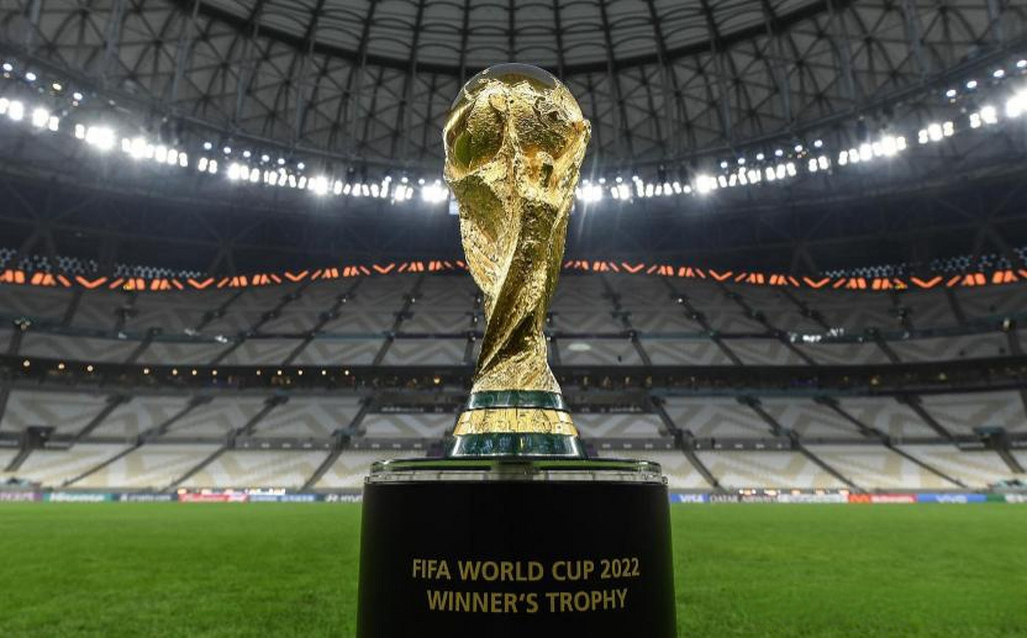 整个狂野一 整个狂野一